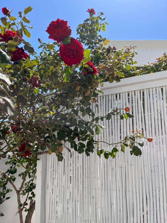 Aleria Central Apartments Naxos City Luaran gambar